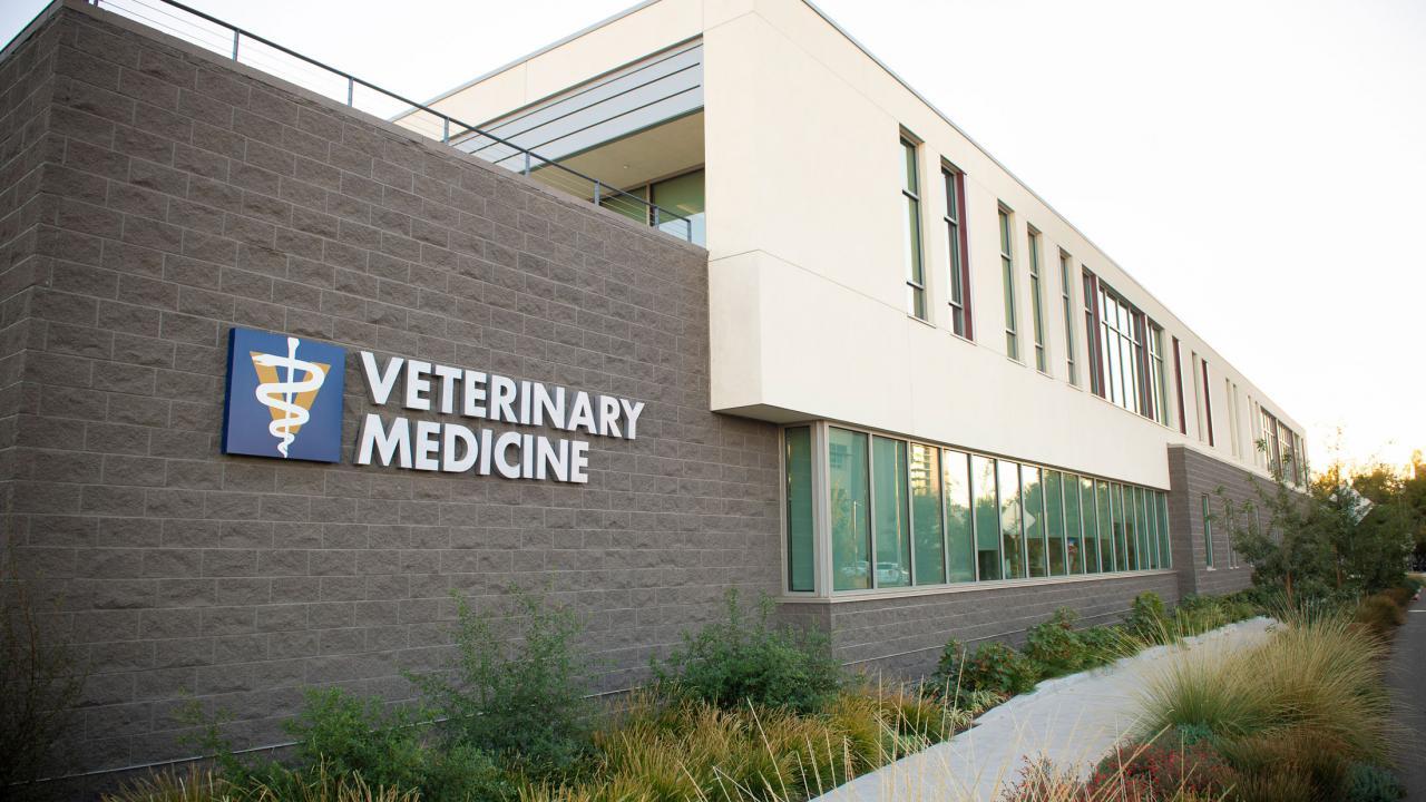 VetMed building