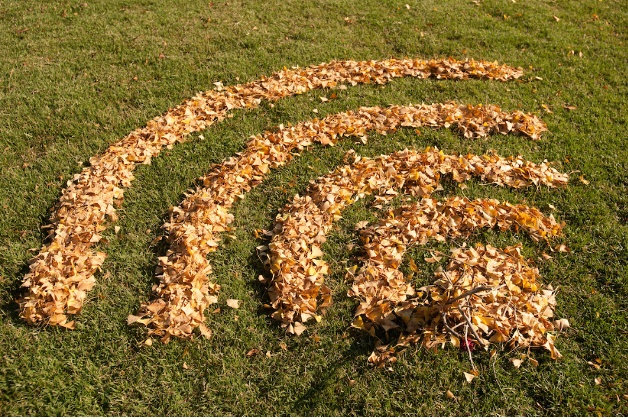 Wireless graphic
