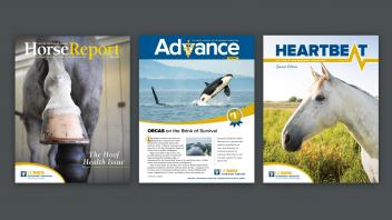 Veterinary Medicine Magazines