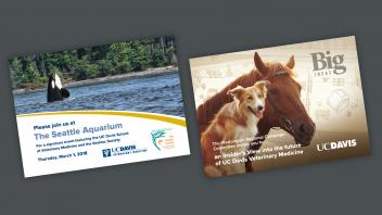 School of Veterinary Medicine Postcards