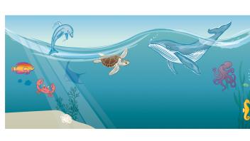 An illustrated underwater ocean scene featuring a variety of sea animals.