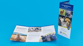 Camelid Medicine Service brochure