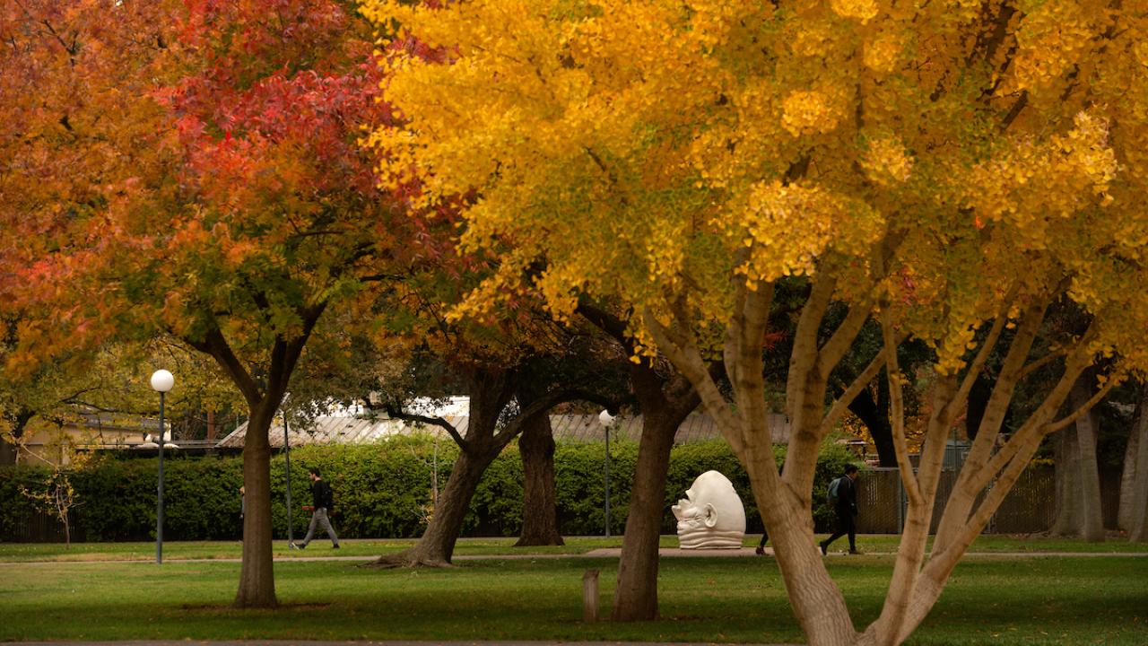 fall campus scene