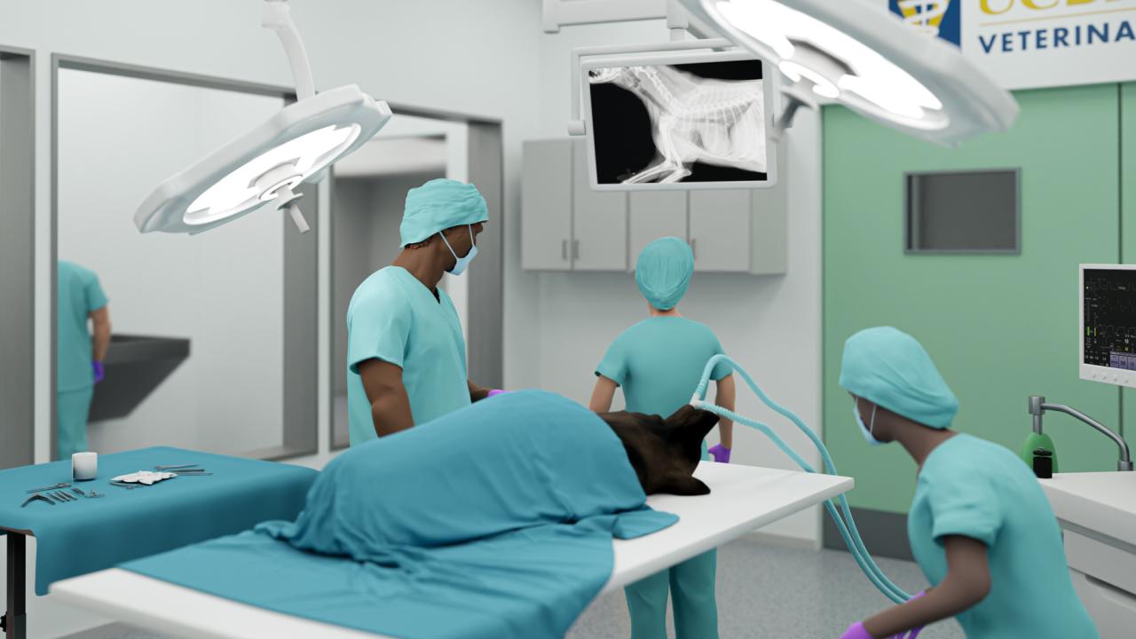 3D rendering of veterinarians in an operating room