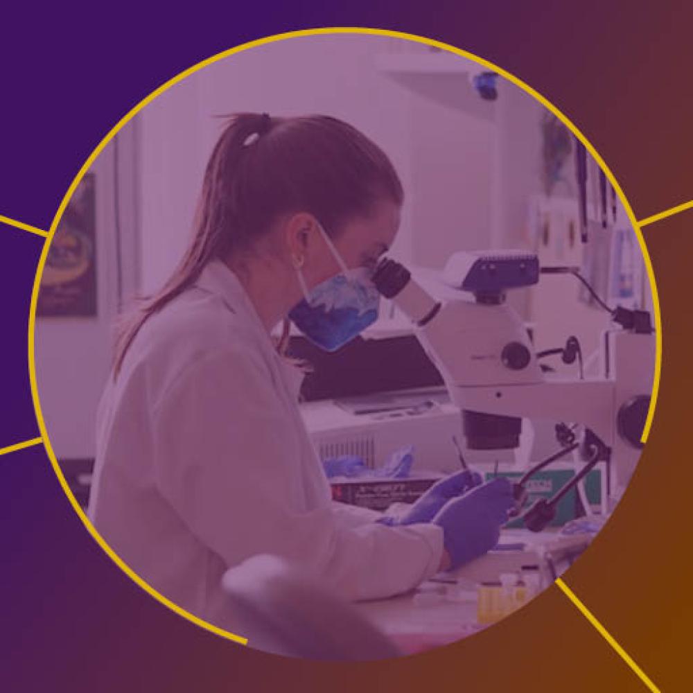 Person using microscope in laboratory