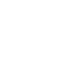 security icon