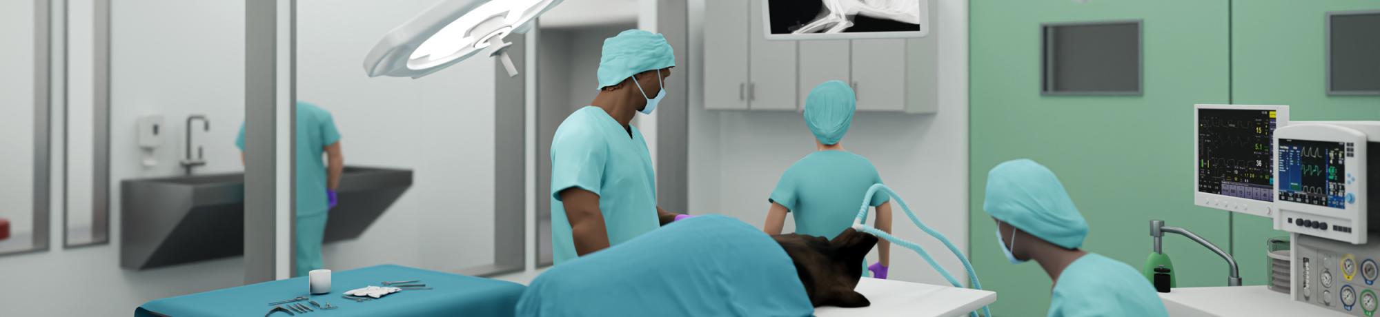 3D rendering of veterinarians in an operating room