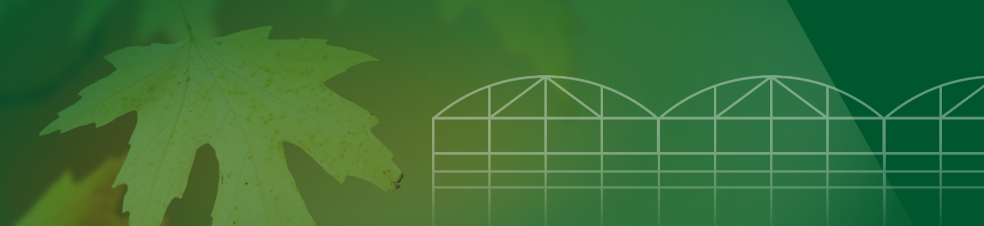 leaf with coffee shop outline on a gree background
