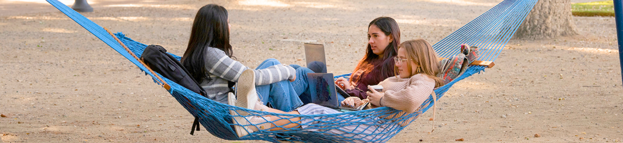 3 people with laptops in a hammock near the quad