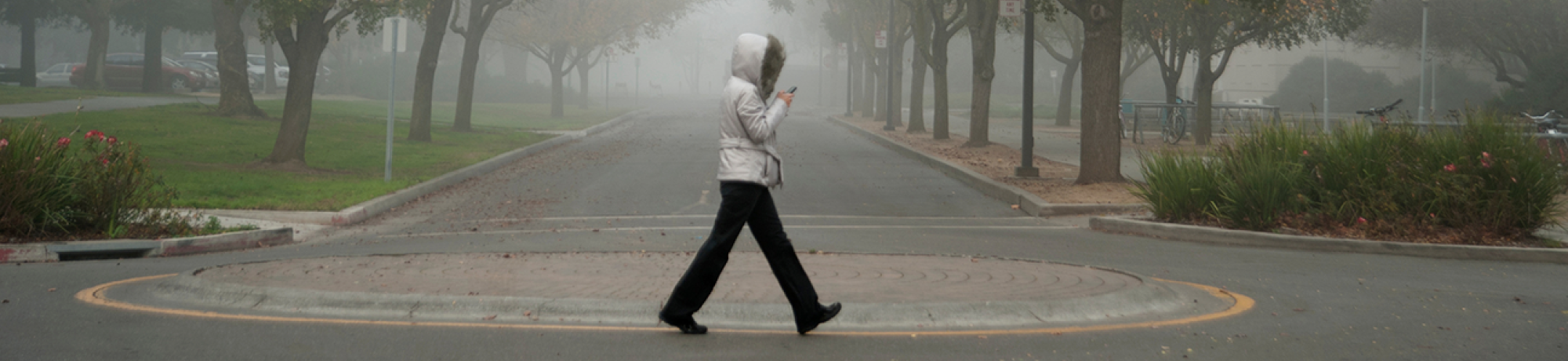Student walking while looking at smartphone on foggy day in bike roundabout